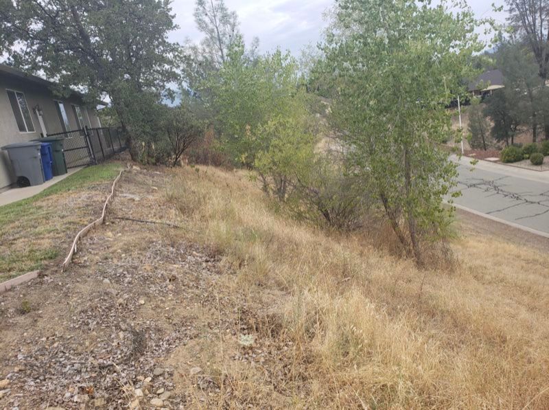 Dry, grassy hillside next to a road and building, with sparse trees and shrubs.