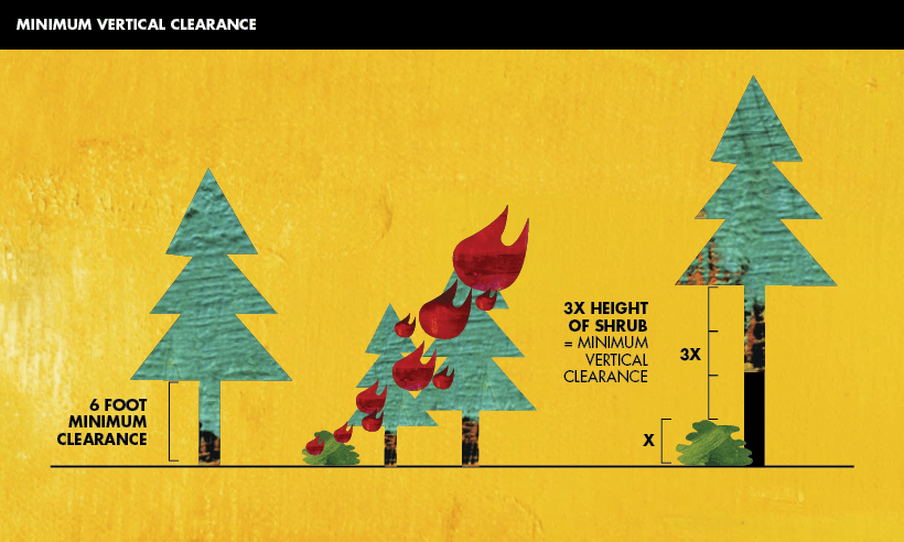 Fuel Reduction Services Image