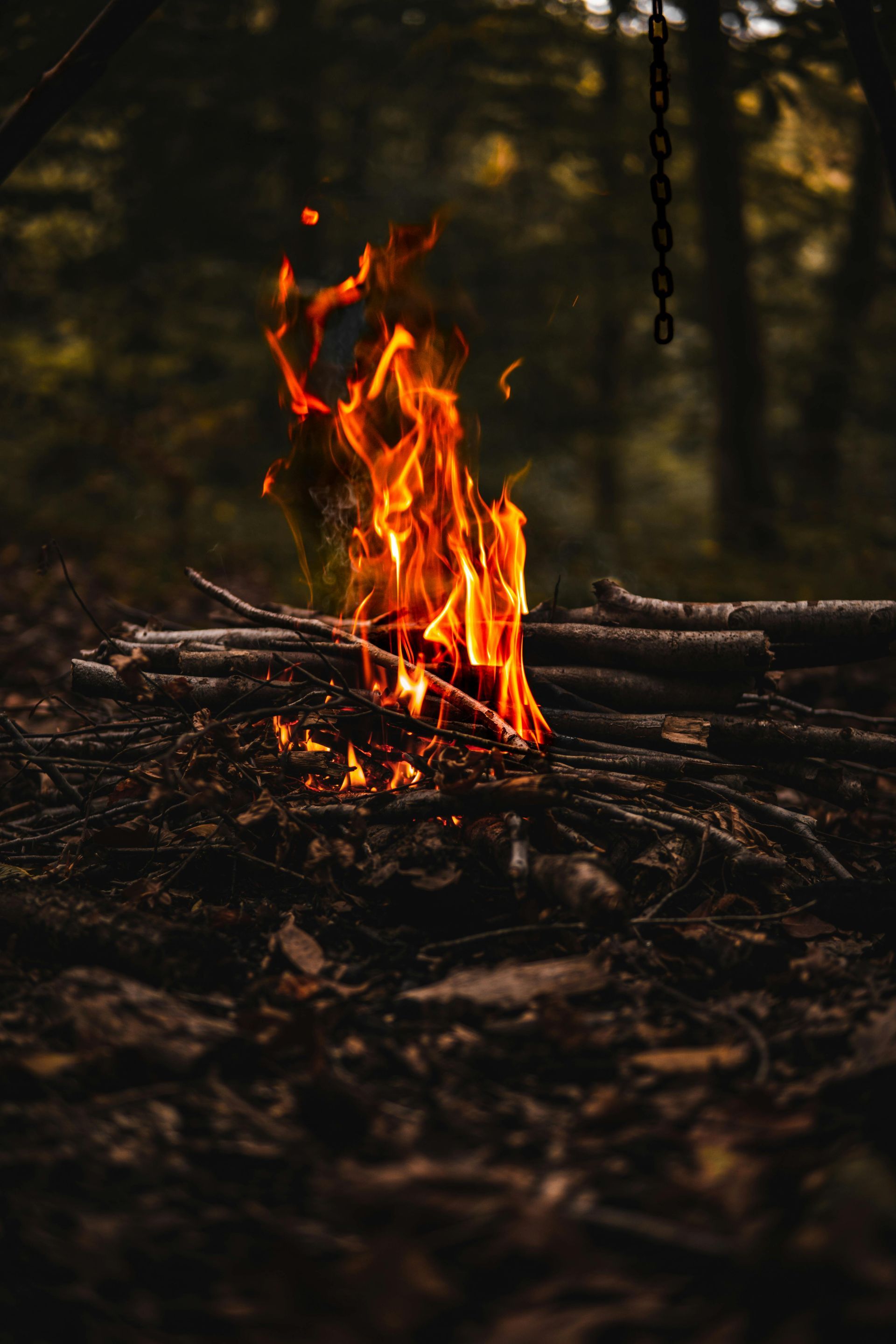 Campfire flames burning brightly in a dark forest setting, with a chain hanging above.
