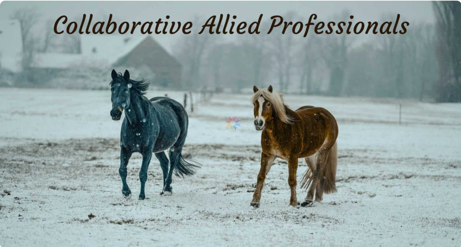 Collaborative Allied Professionals - Photo by Omar Ramadan (Unsplash)