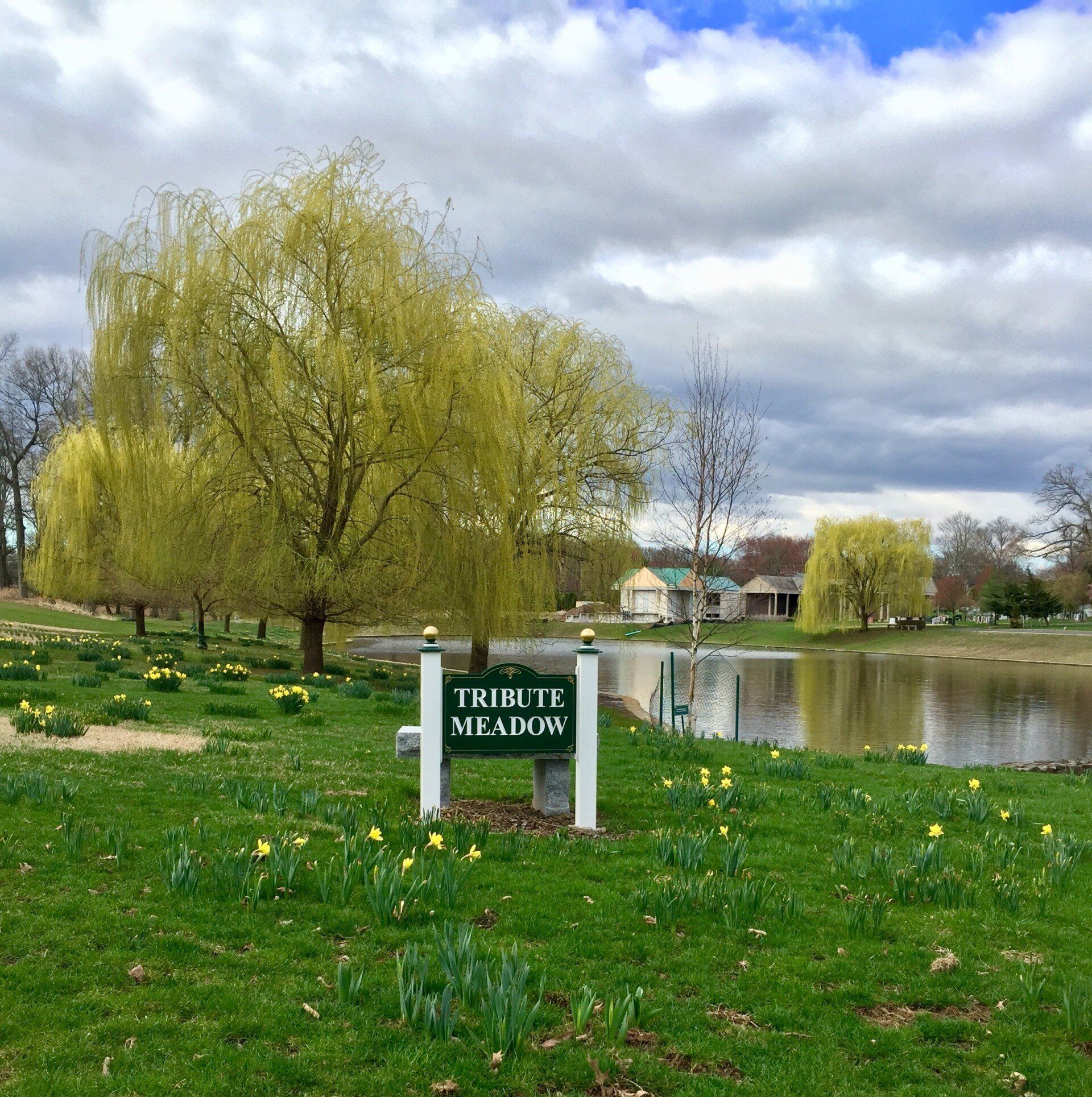 A sign that says tribute meadow in front of a lake