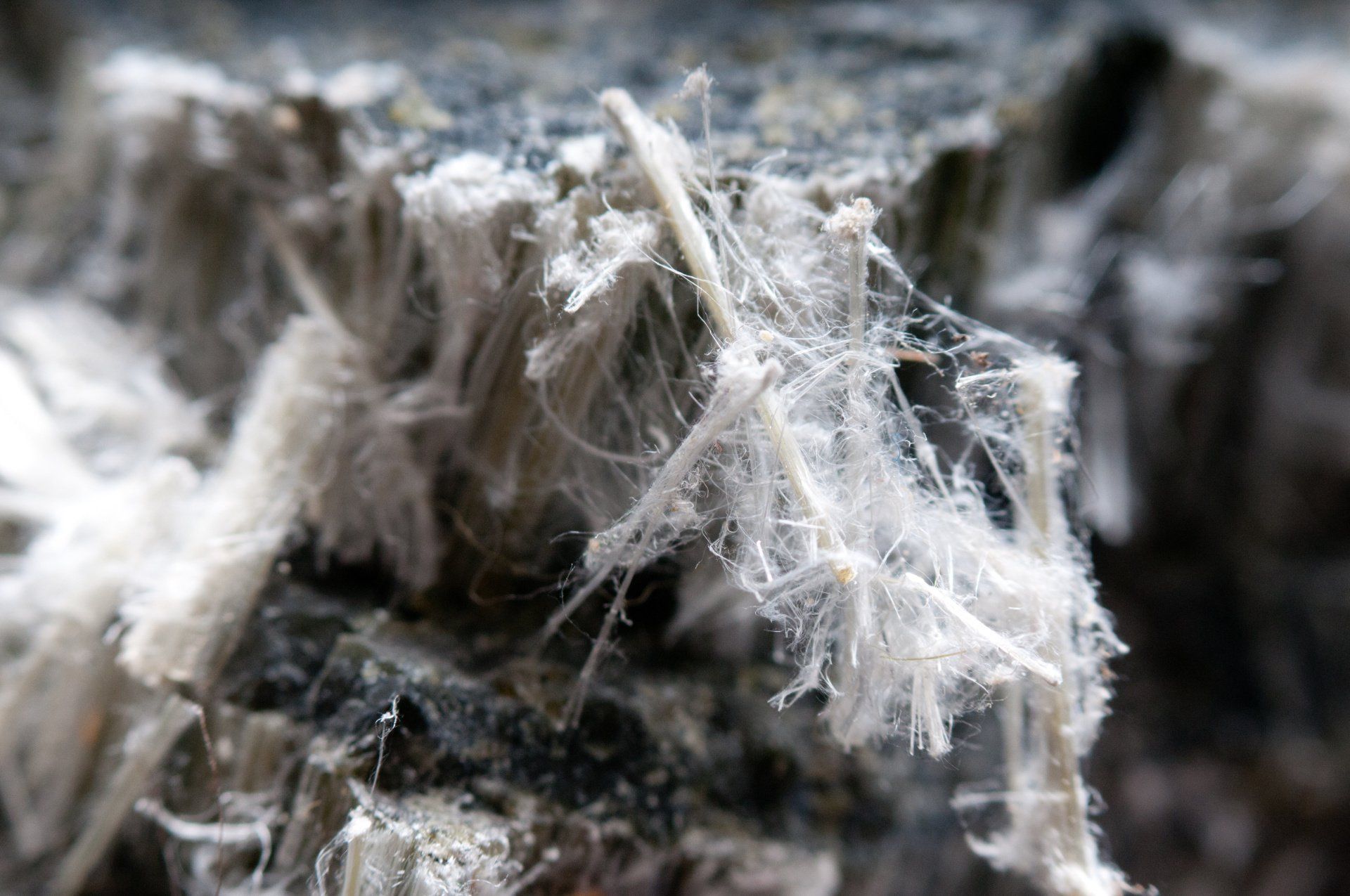 closeup of asbestos fibers