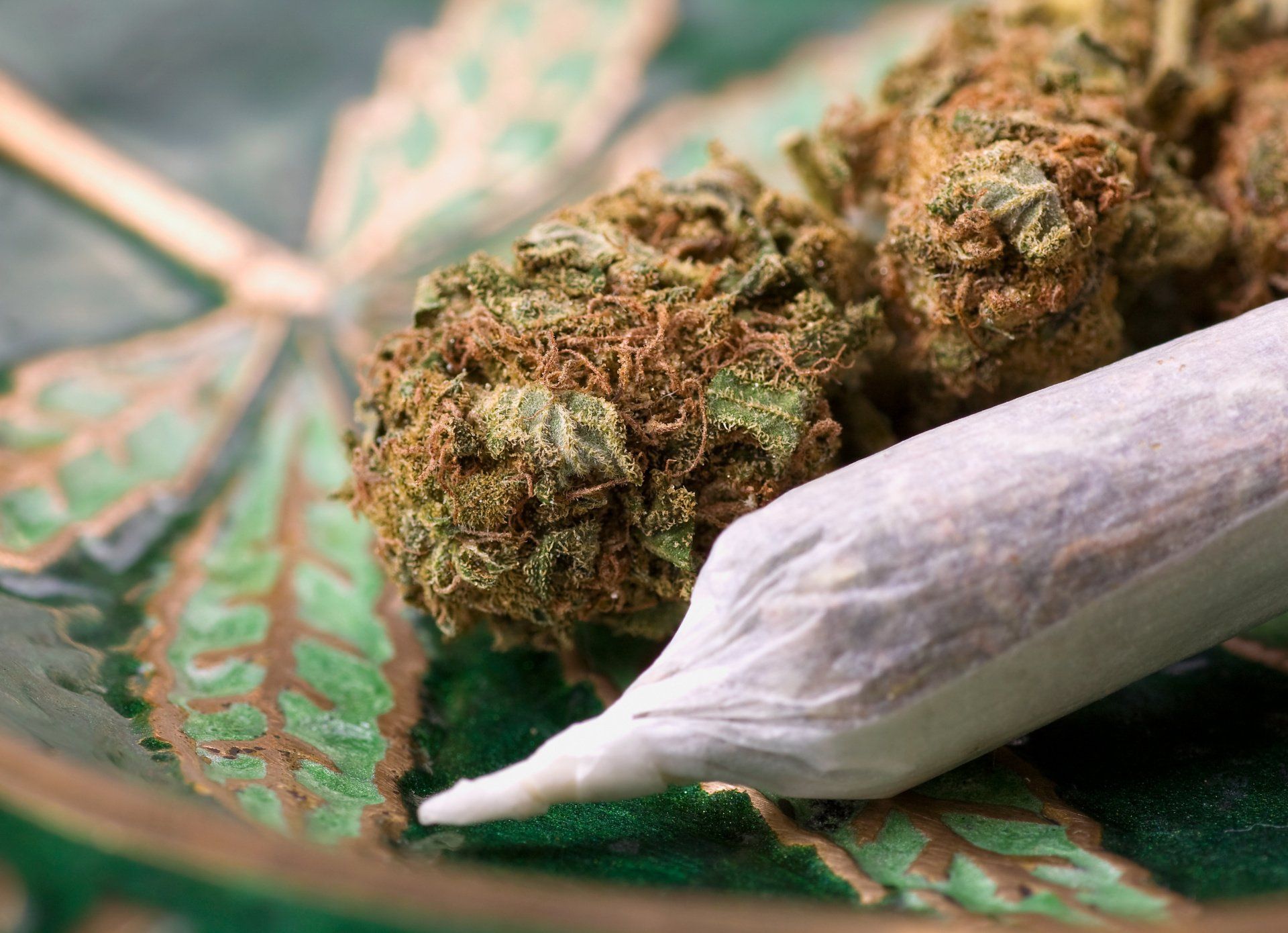 closeup of marijuana and rolled joint