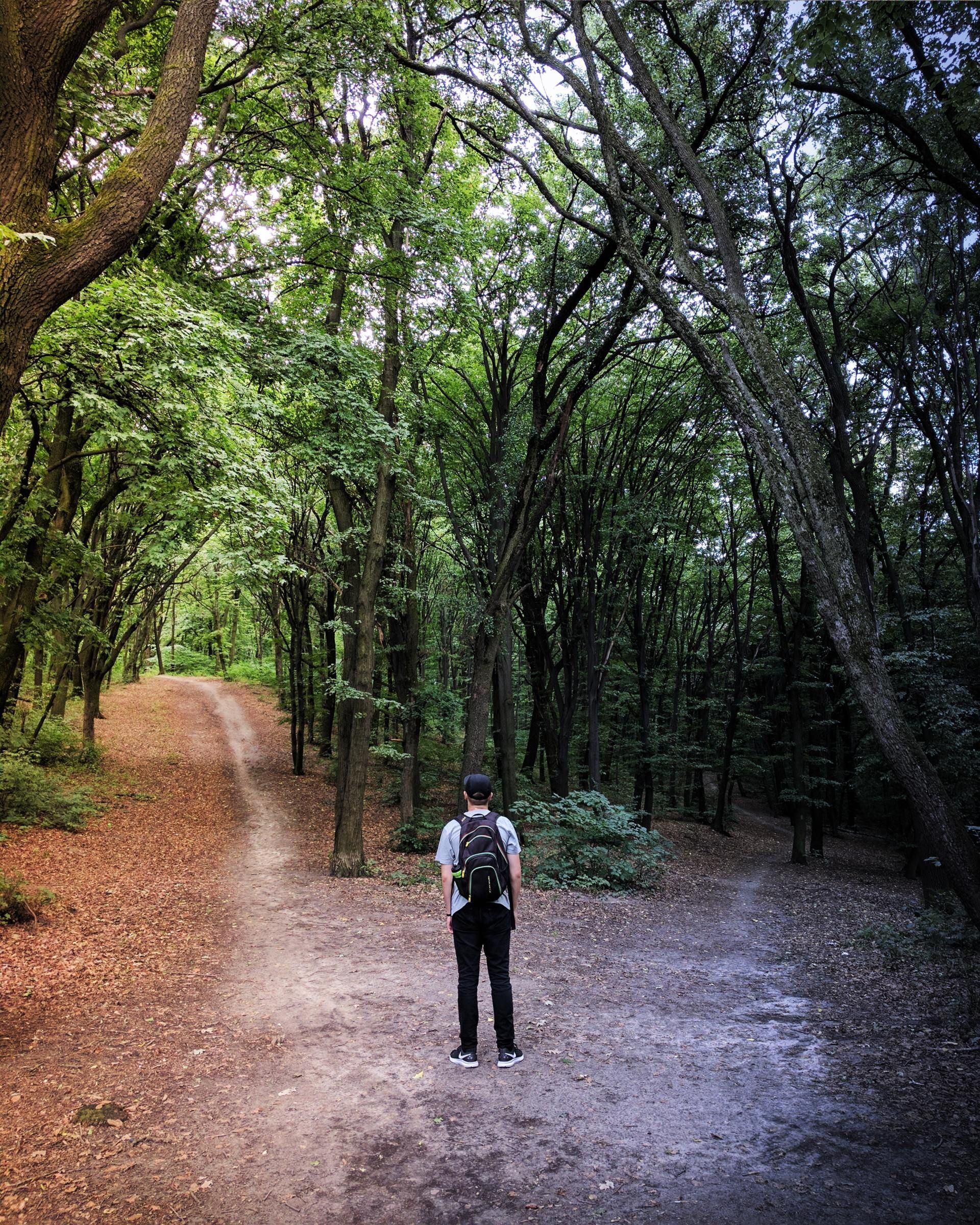A man with a backpack is standing on a dirt road in the middle of a forest.