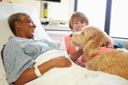 Hospital patient smiling at a therapy dog with a caregiver beside her