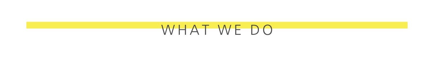 Yellow line with the text “WHAT WE DO” centered above it.