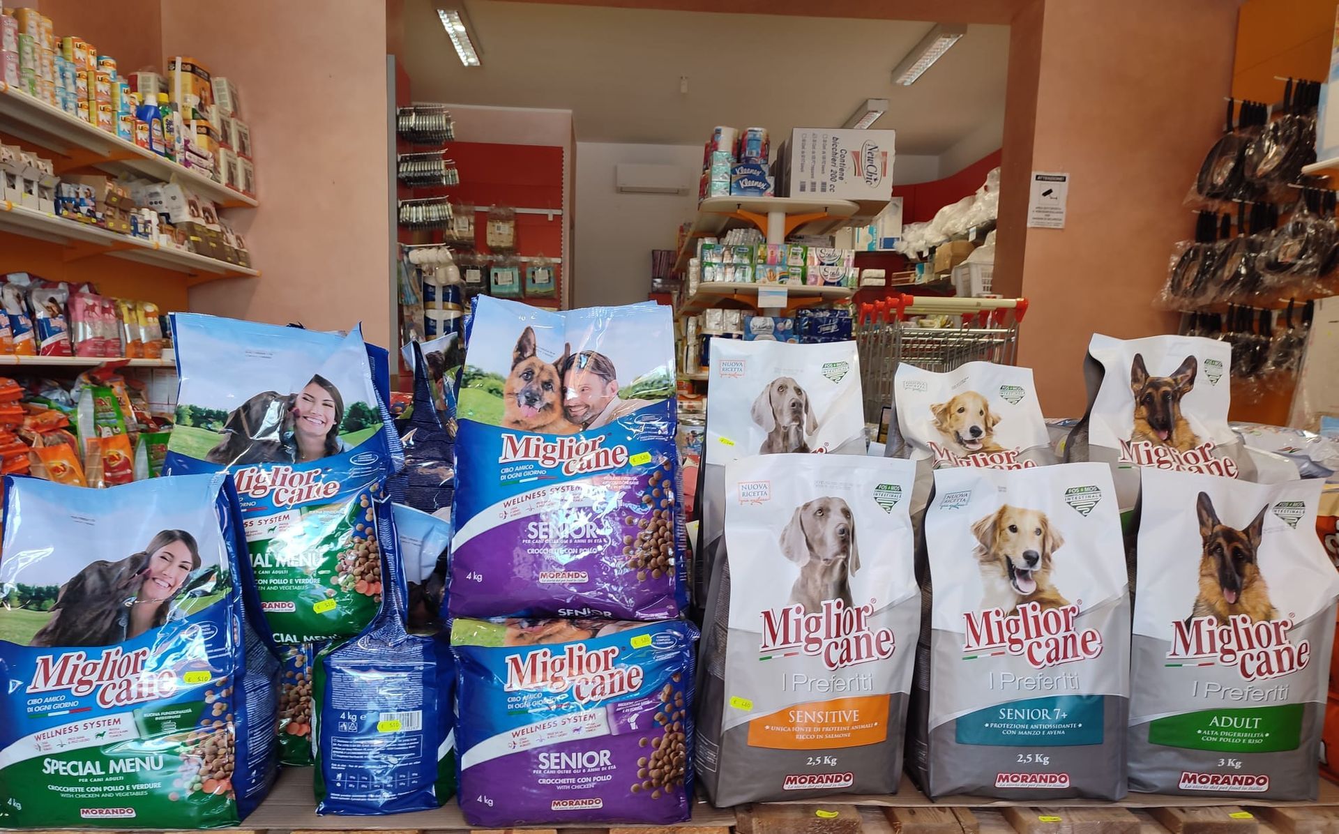 pet food