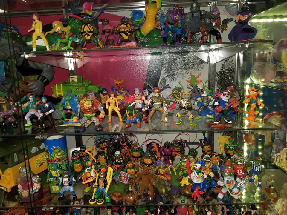 A glass display case filled with numerous Teenage Mutant Ninja Turtles action figures and toys on three shelves.