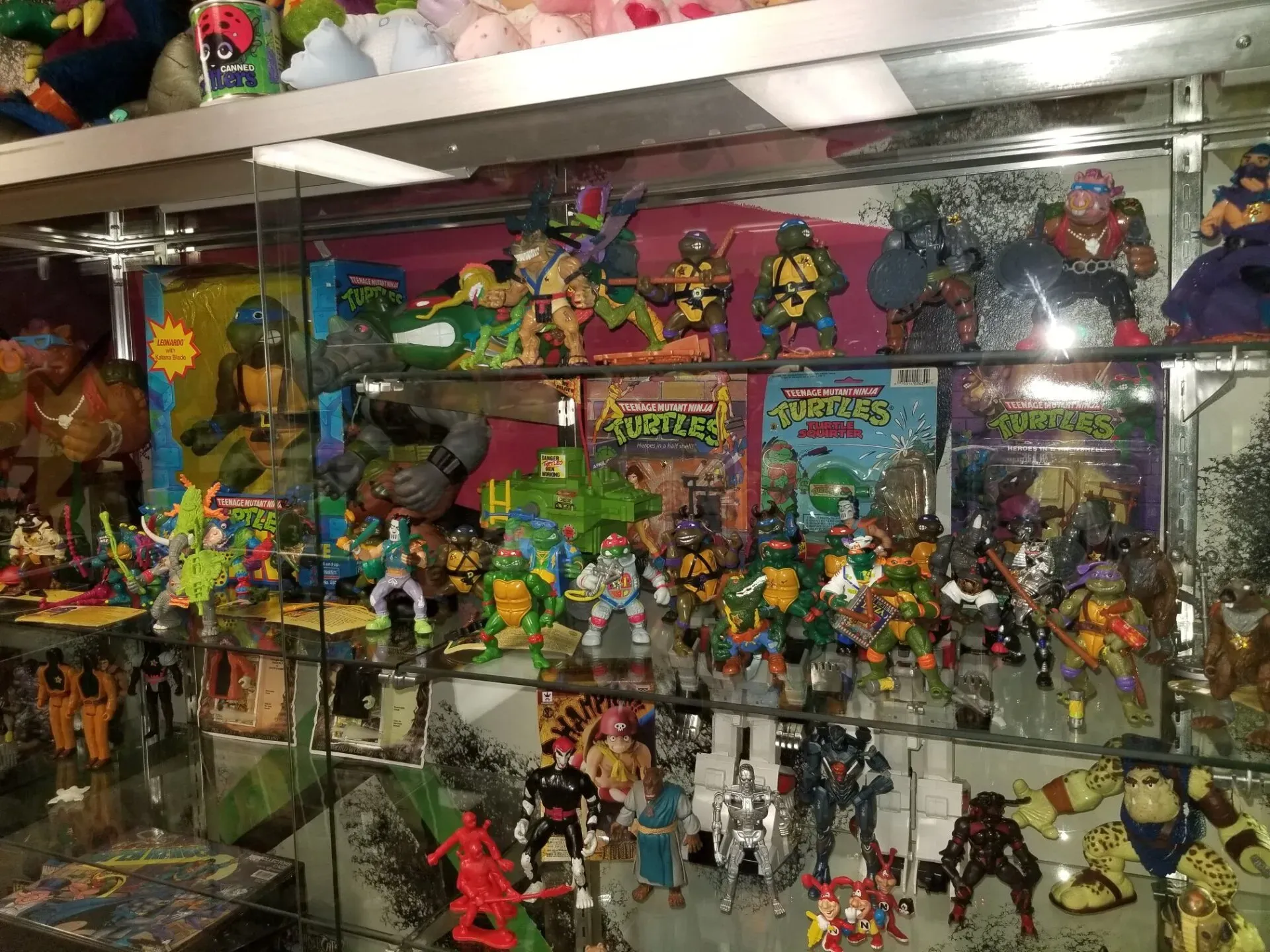 A glass shelf display filled with various vintage Teenage Mutant Ninja Turtles action figures and collectible toys.