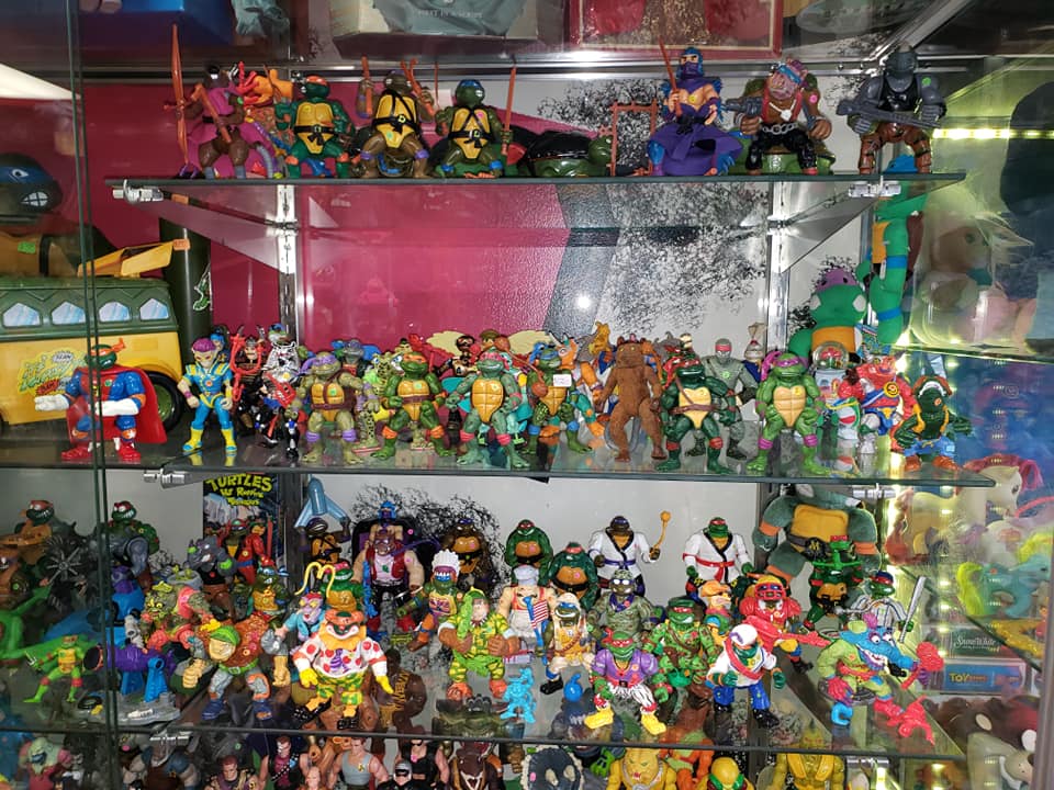 A glass display case filled with many Teenage Mutant Ninja Turtles action figures arranged on three shelves.