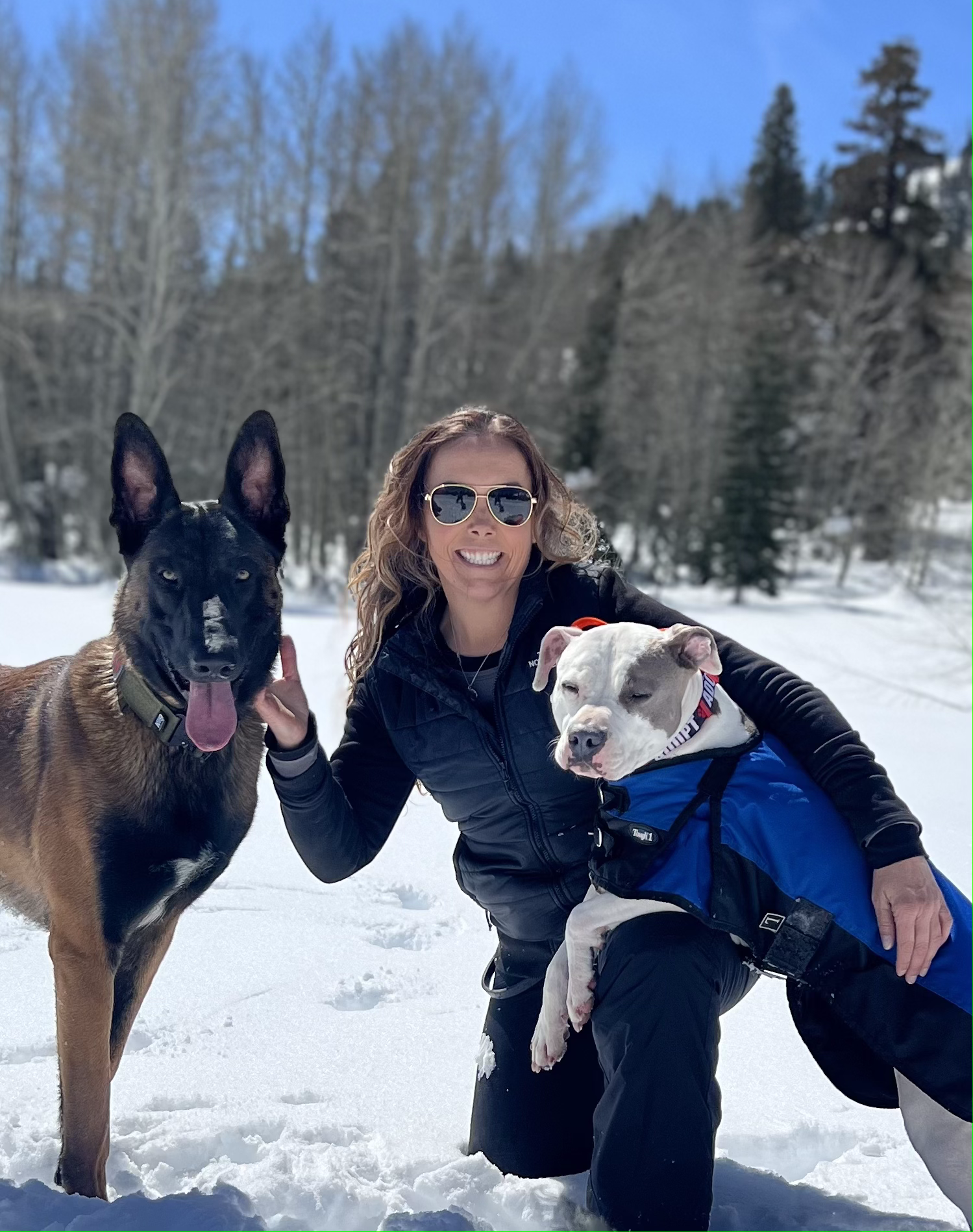 Woman kneeling in snow with two dogs: Belgian Malinois and Pit Bull in a blue jacket.