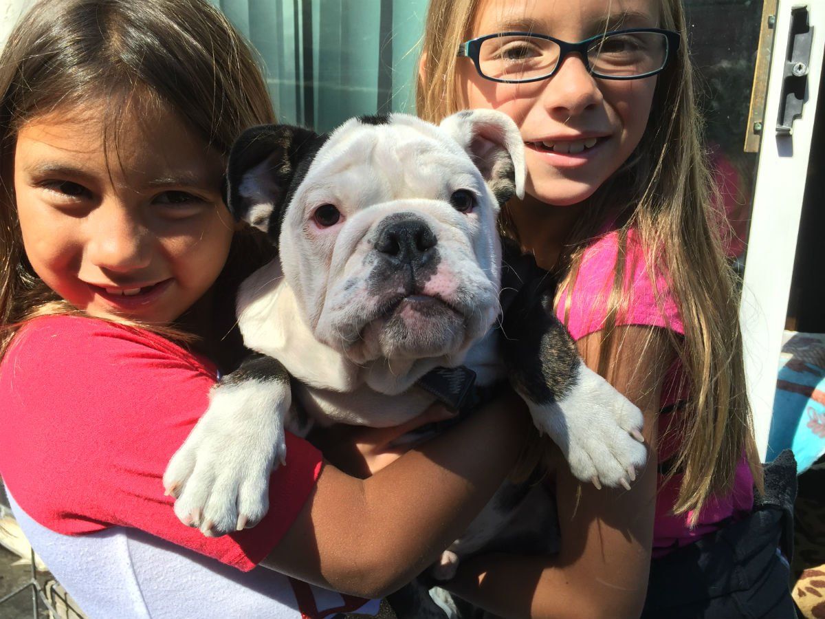 Two girls holding a white and black bulldog puppy, smiling outside.