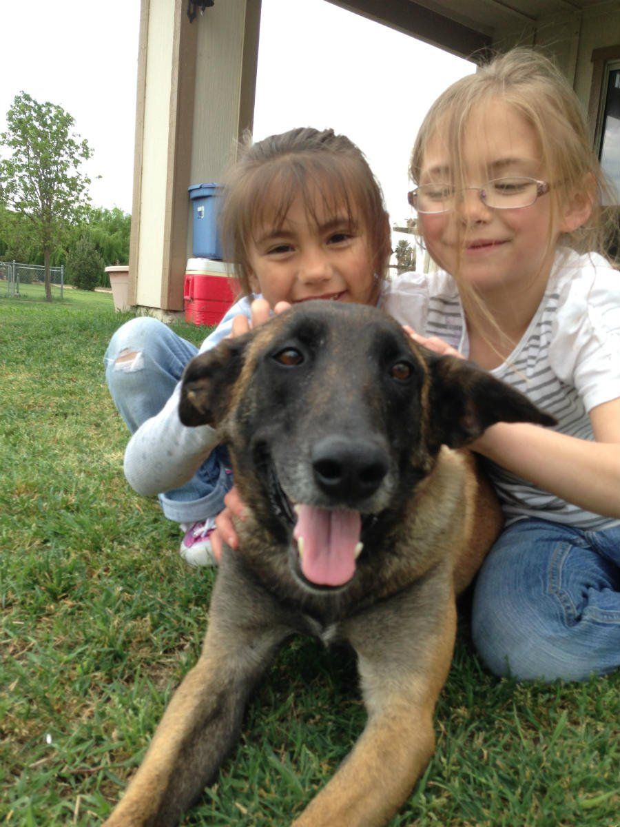 Two girls petting a brown dog on the grass; the dog smiles with its tongue out.