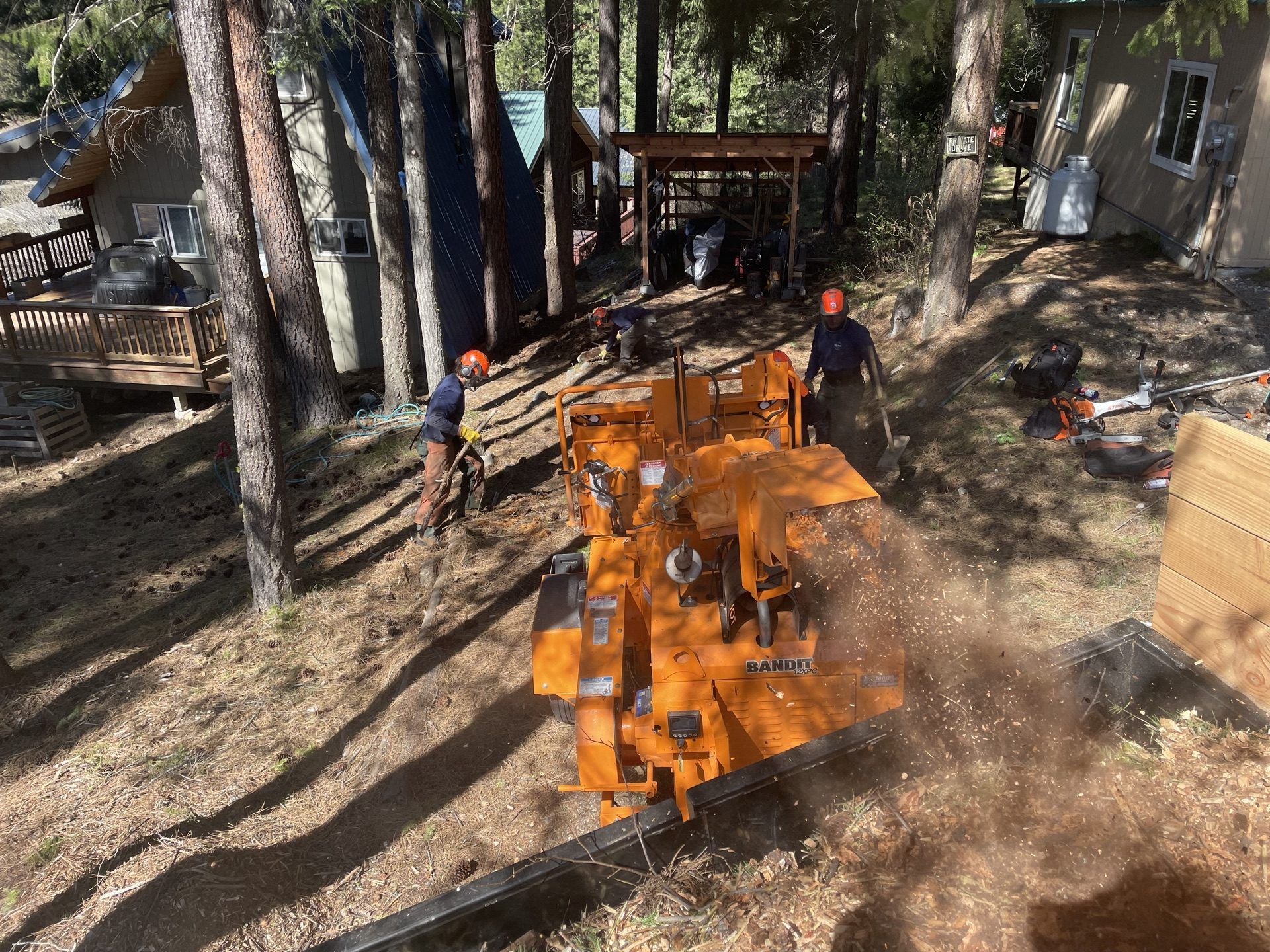 Orange skid steer moving wood chips in a wooded yard with two workers nearby and cabins in the background