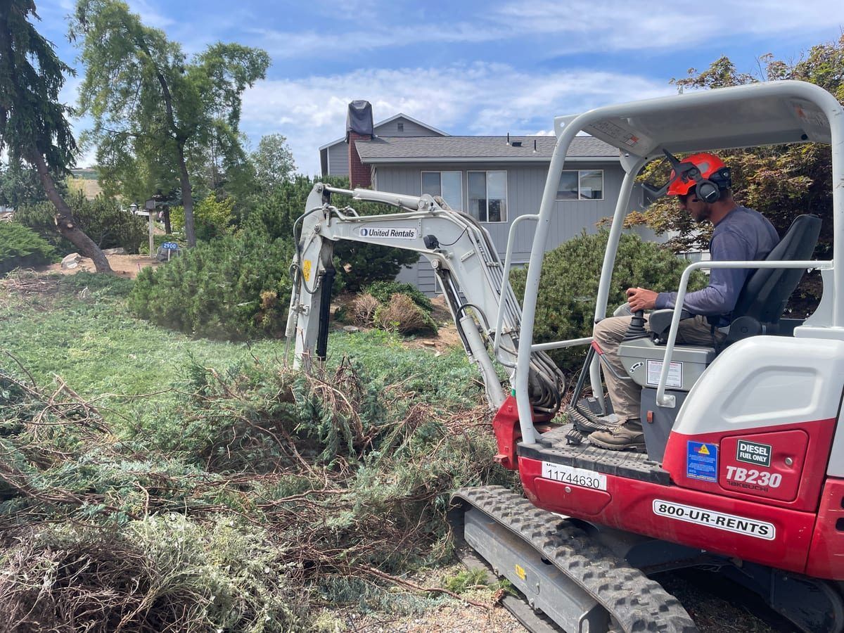 Mini excavator clearing overgrown vegetation beside a house on a sunny day