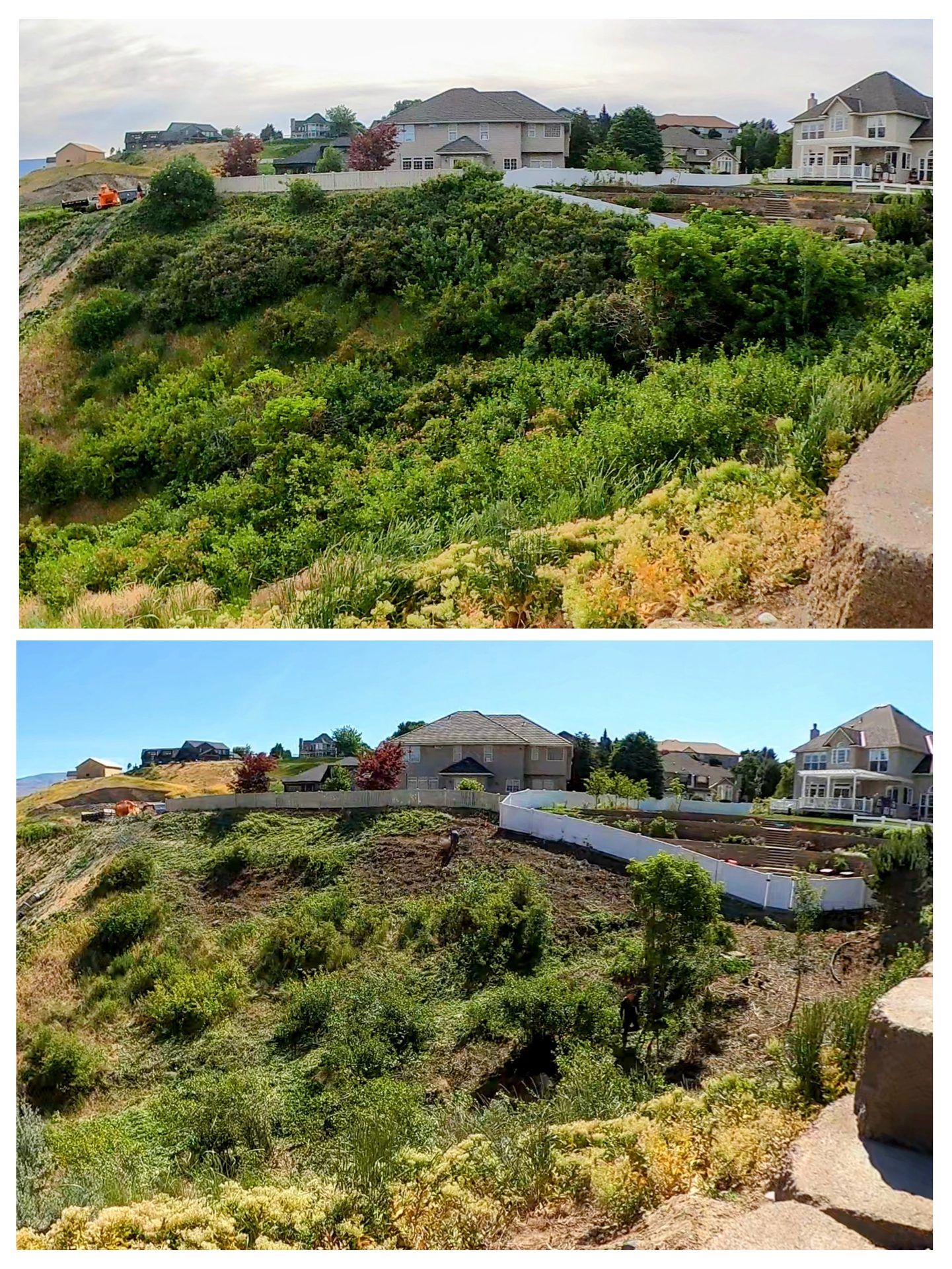 Before + After