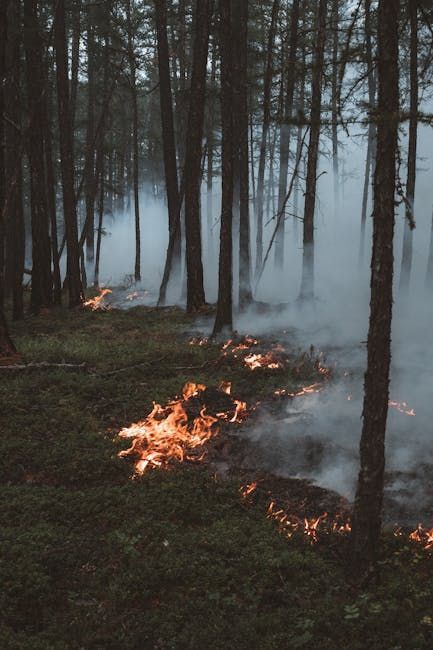 Wildfire flames and smoke spreading through a dark pine forest at dusk