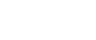 A white, thin-lined icon of a four-pointed star or sparkle on a solid black background.
