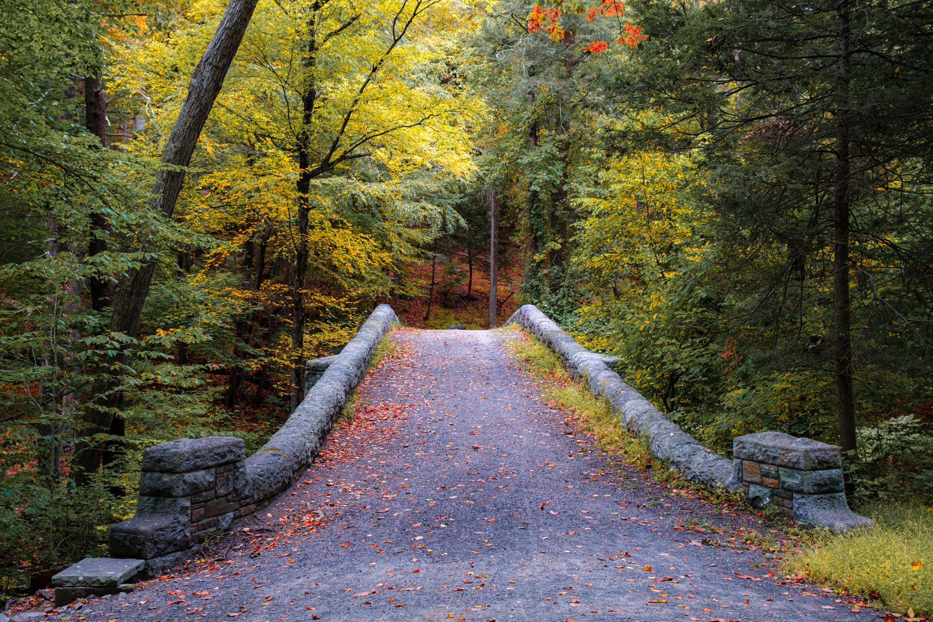 A stone bridge crosses a forest path covered in autumn leaves, surrounded by vibrant yellow and green trees.
