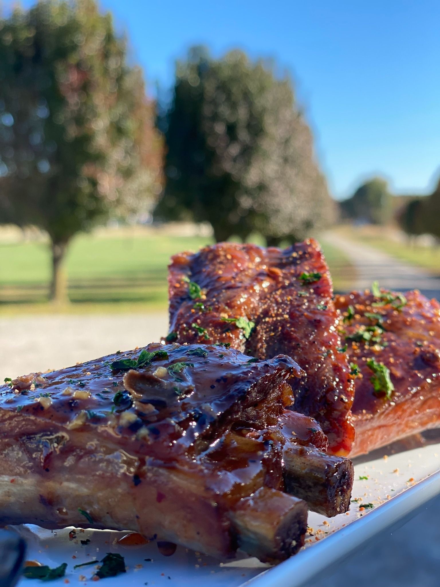 barbecue ribs