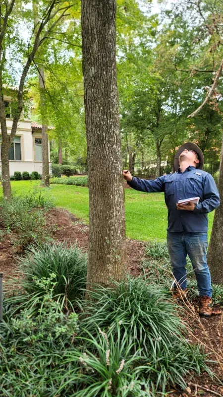 Person in a mask and gloves touching a tree in a leafy garden path.