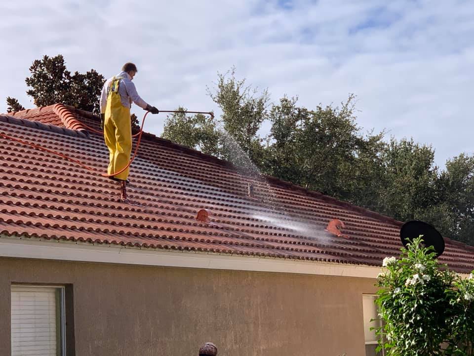 Roof Cleaning