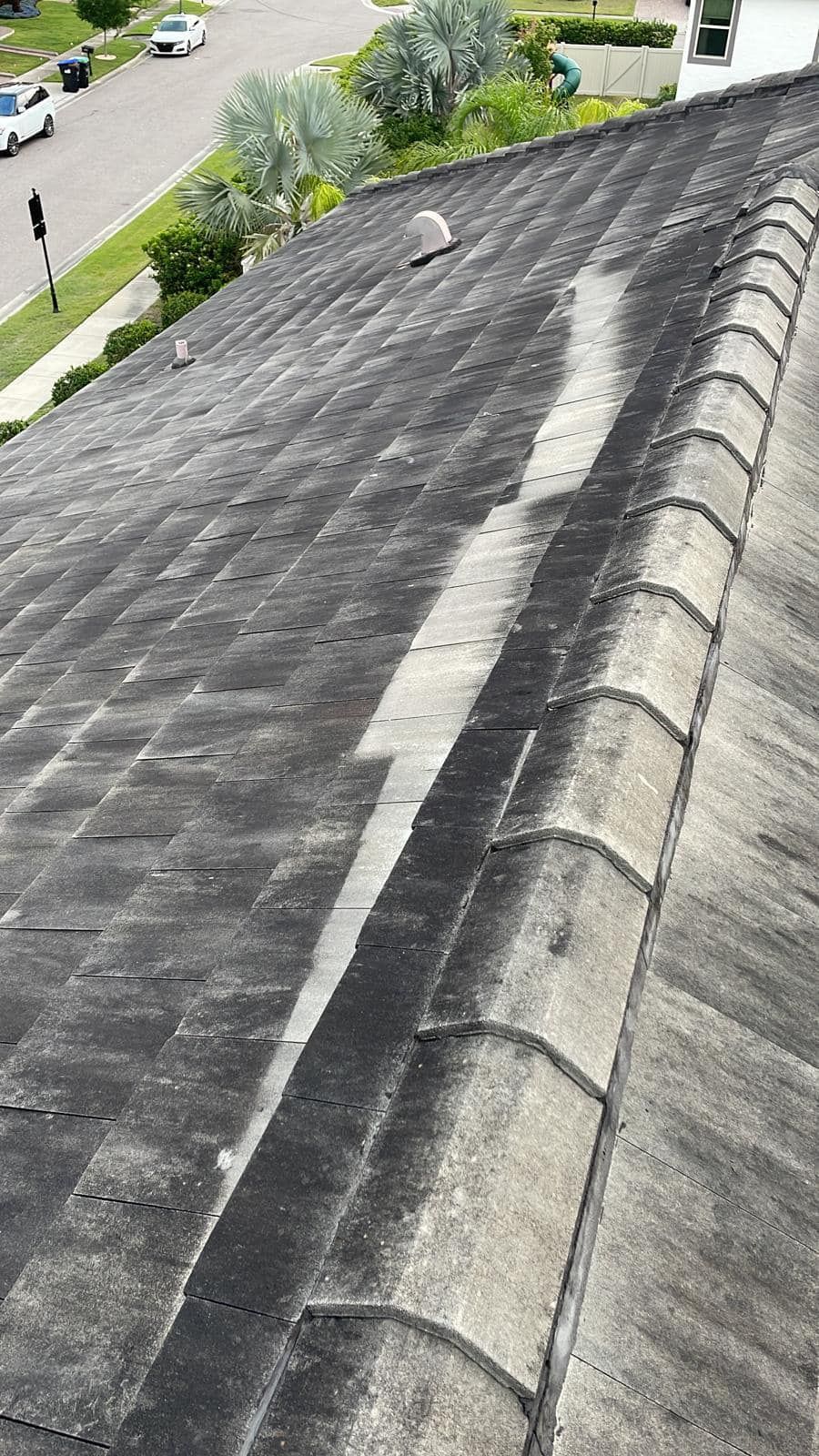 Dirty roof, before washing