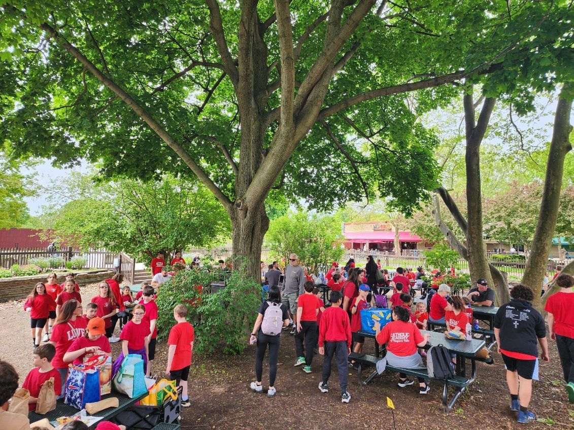 Large group of people in red shirts under a large tree. Tables and bags are visible.
