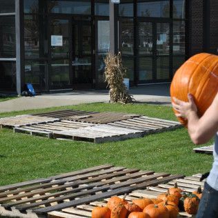 Person carrying large orange pumpkin near pallets and building with glass doors.