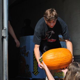 Person loads a large pumpkin from a truck. Someone else assists, box visible. Sunny.