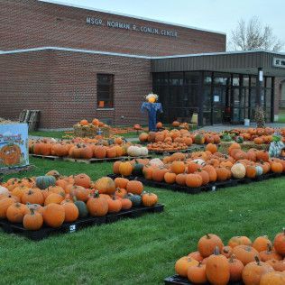 Pumpkins on display in front of a brick building labeled 