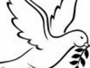 Dove carrying an olive branch, symbolizing peace.