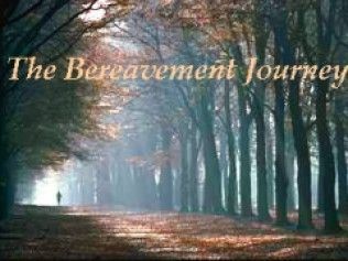 A lone person walks a path through a forest, with 