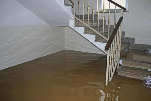 Flooded Basement Clean up Kansas City