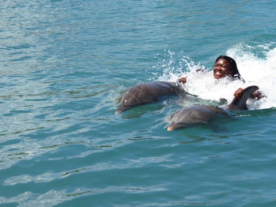 Dolphin Cove Ocho Rios