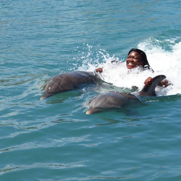 Dolphin Cove Ocho Rios