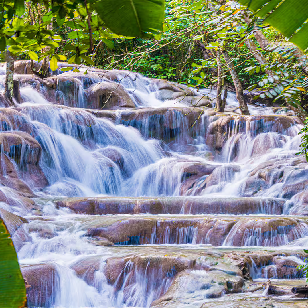 Dunn's River Falls & Luminous Lagoon Combo Tour Package