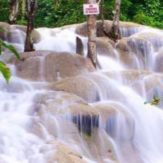 Dunn's River Falls & Luminous Lagoon Combo Tour Package