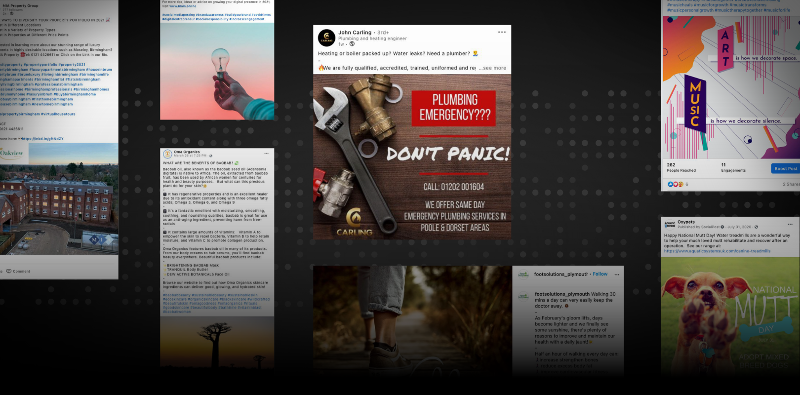 SOCIAL MEDIA GRAPHIC