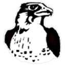Hampden Wilbraham Logo