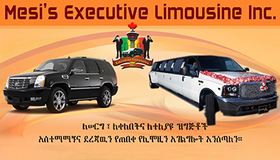 mesi's executive limousine mesi's executive limousine