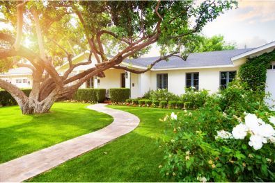 Beautifully landscaped and up kept front yard in Oxnard, Ca. Large trimmed tree and white house in background.