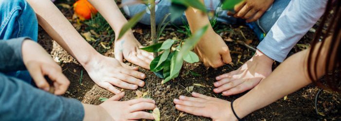 A group of children are planting a plant in the dirt. Oxnard, CA.