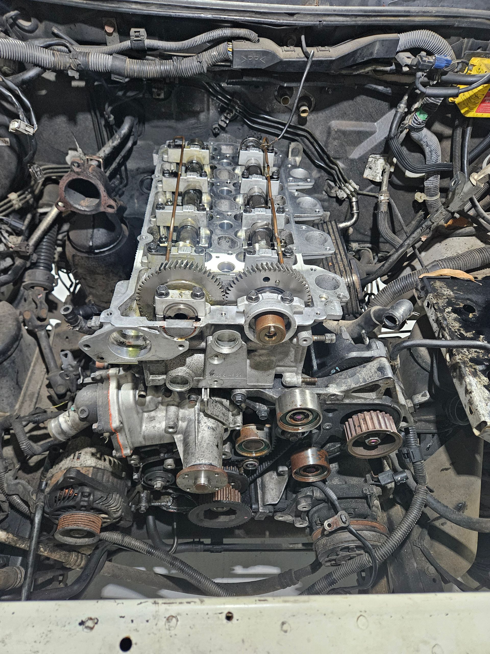 Exposed Car Engine Bay — Cap Coast Maintenance In Alton Downs, QLD