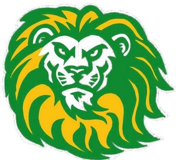 A green and yellow lion head on a white background