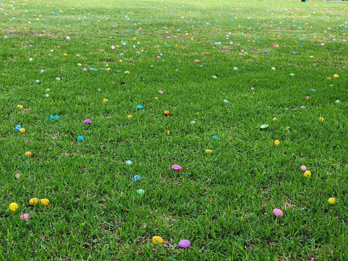 Green lawn covered with scattered colorful Easter eggs.