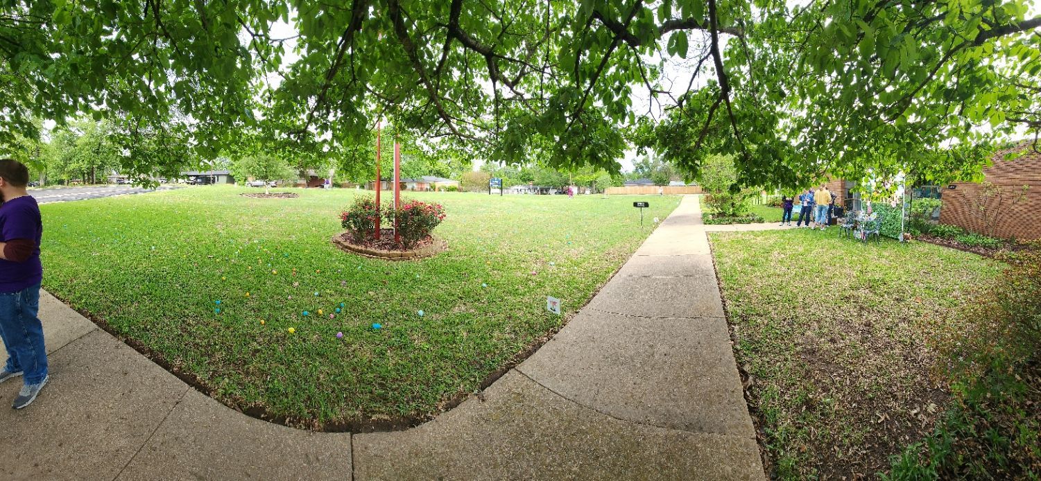 Person stands on a sidewalk next to a large, grassy lawn under a tree; a path leads into the distance.