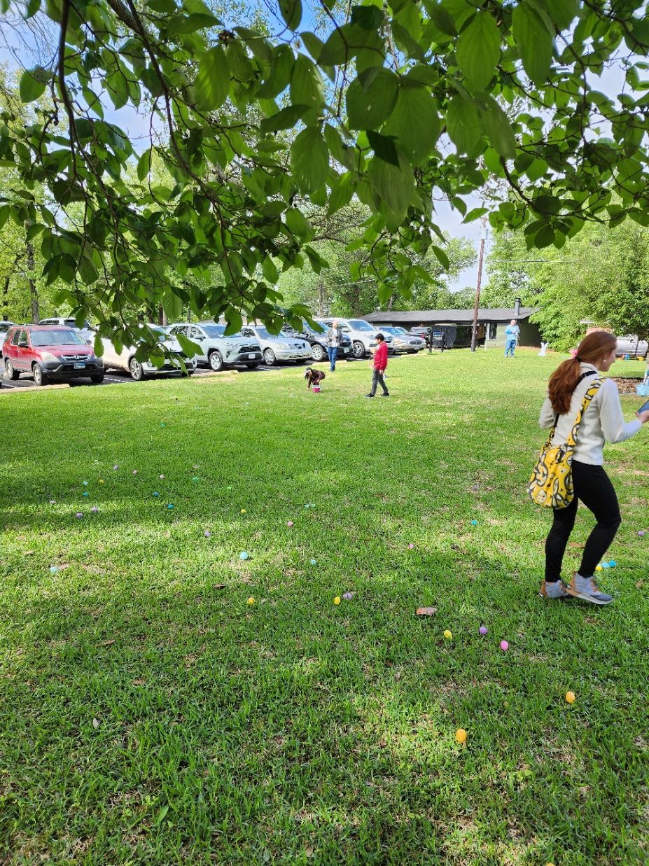 Grassy park with people and cars; a person walks, a child runs, and a dog stands. Tree branches hang overhead.
