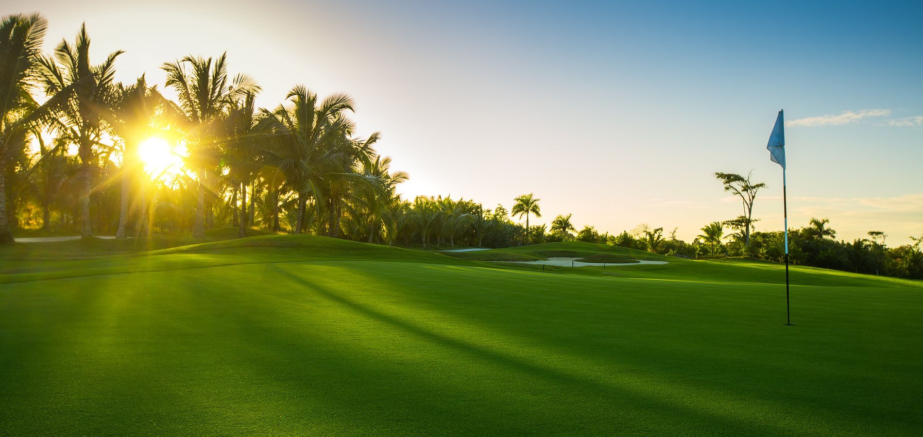 A bright, sunlit golf course green with palm trees in the background and a flag marking the hole.