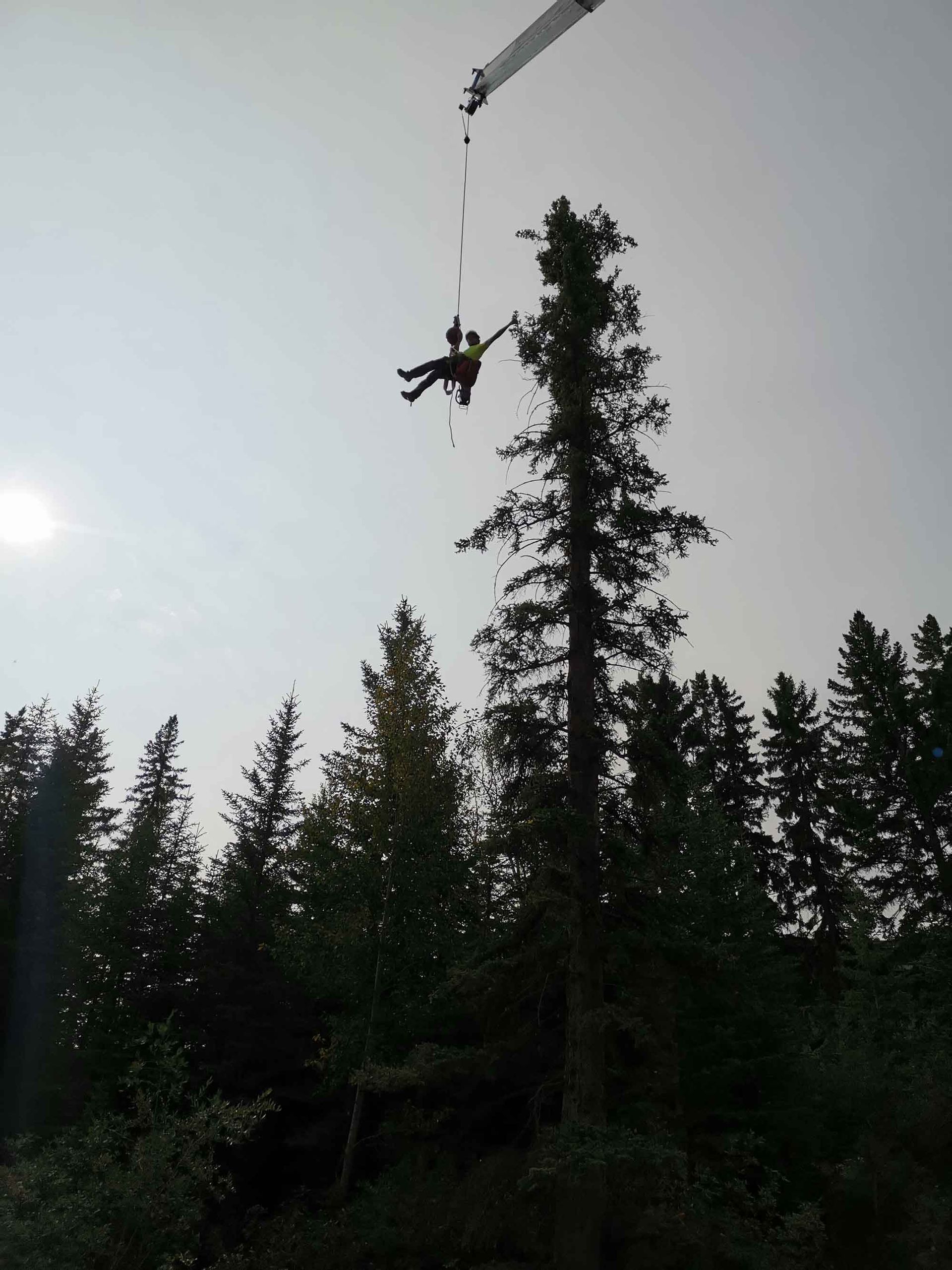 Person dangling from a rope above a forest, with a crane arm visible against the sky